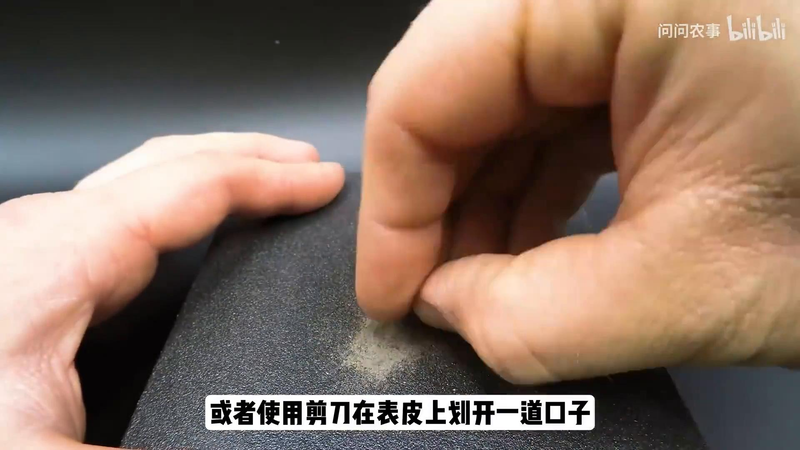 全程图解碗莲的种植方法