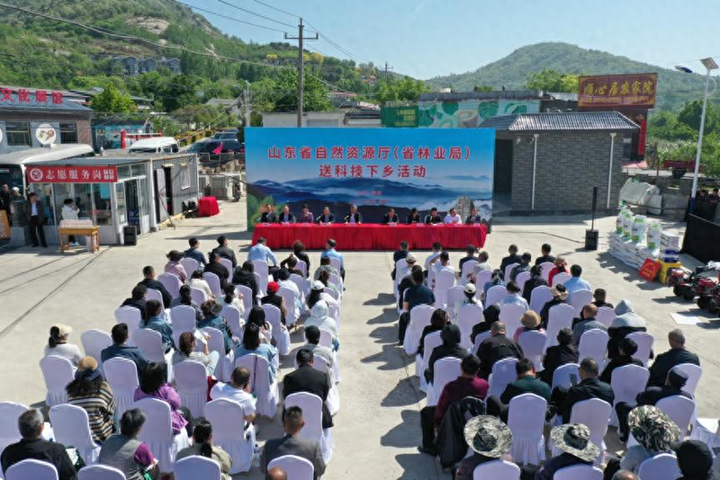 山东猕猴桃种植技术