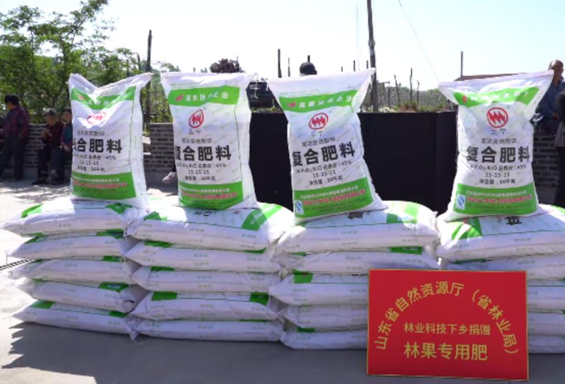 山东猕猴桃种植技术