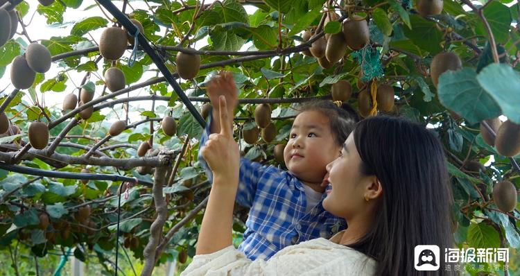 Shandong monkey farming technology