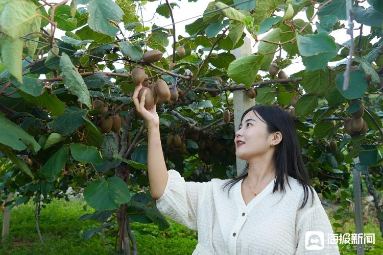 Shandong monkey farming technology