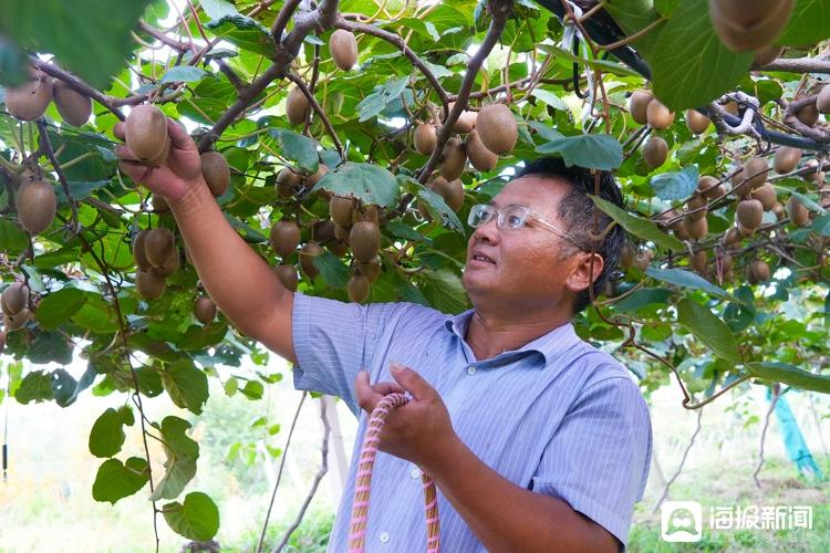 Shandong monkey farming technology