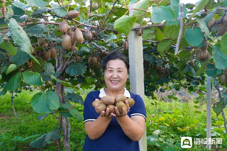 Shandong monkey farming technology