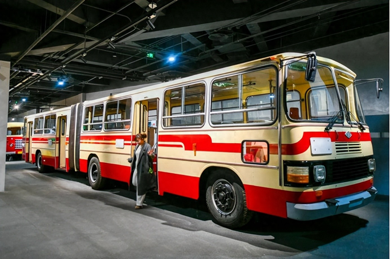 文明礼仪知识讲稿