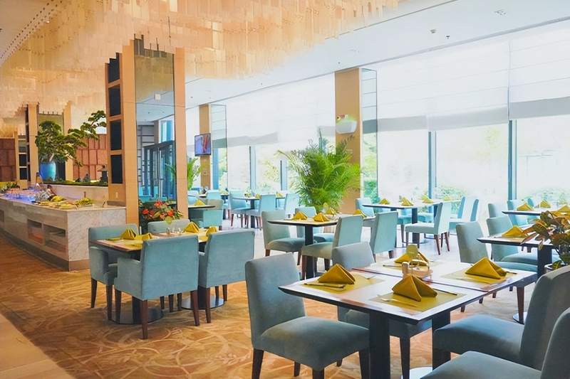 文明礼仪知识讲稿