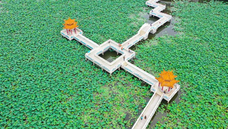 肇庆市崇禧塔维修