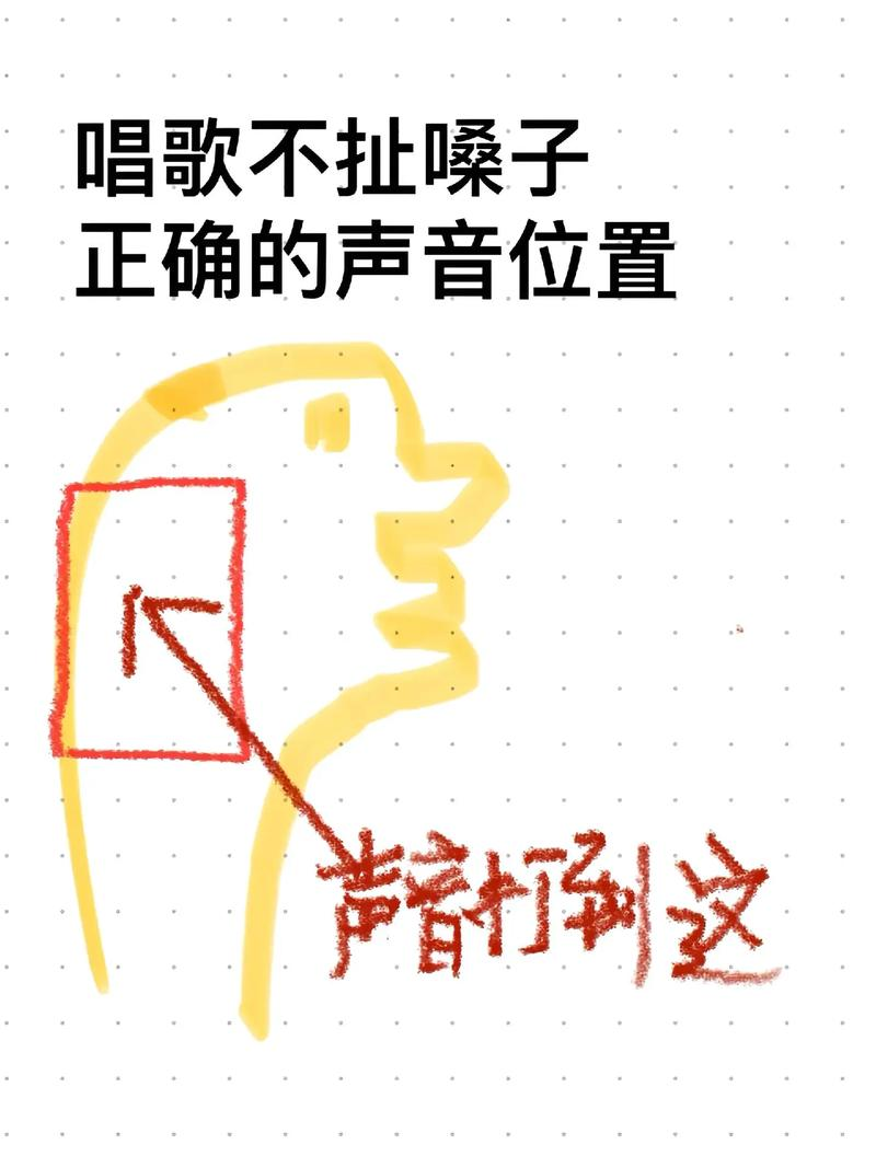 中音和高音生理构造