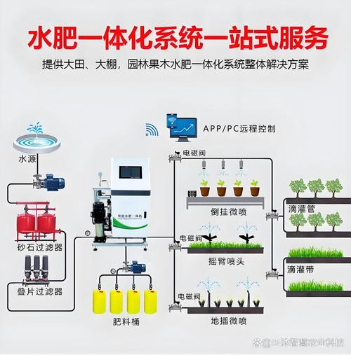 草莓西红柿种植技术