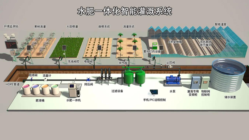 草莓西红柿种植技术