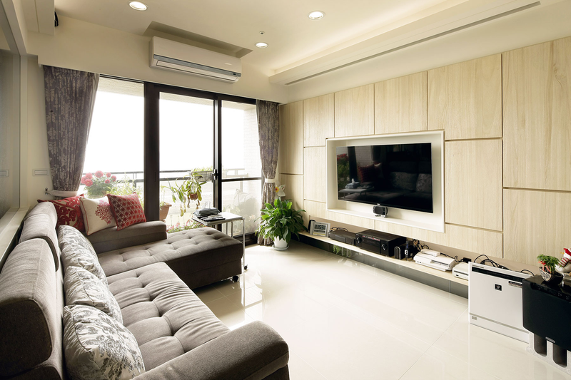 Lcd television screen maintenance