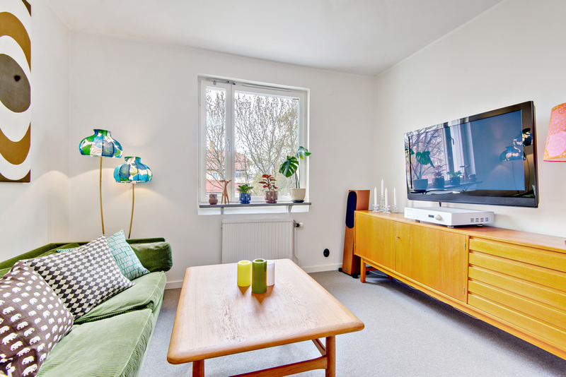 Lcd television screen maintenance