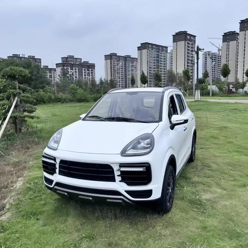 老年代步车维修北京