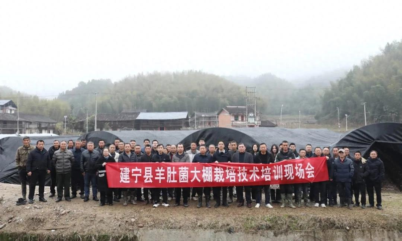 福州食用菌种植技术