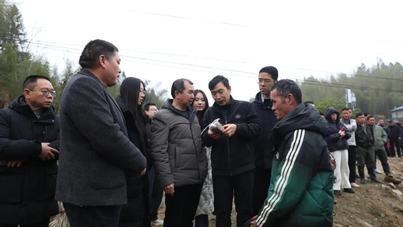 福州食用菌种植技术