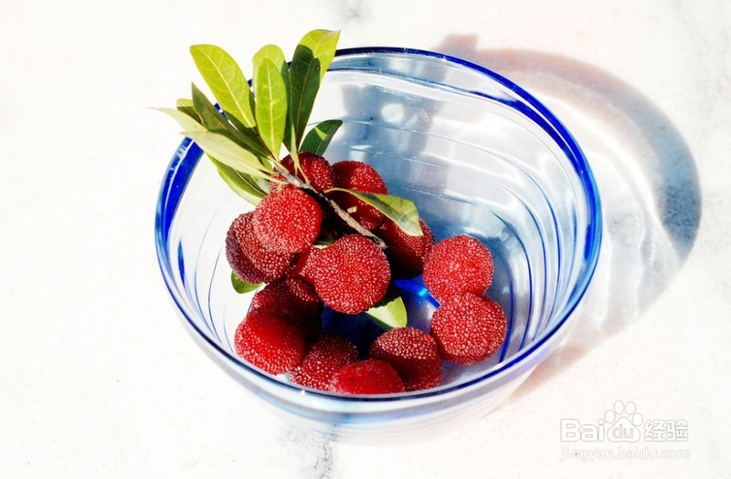 The technique of growing yang mei tree