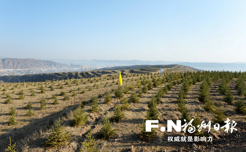 福州食用菌种植技术