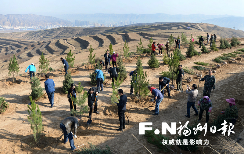 福州食用菌种植技术