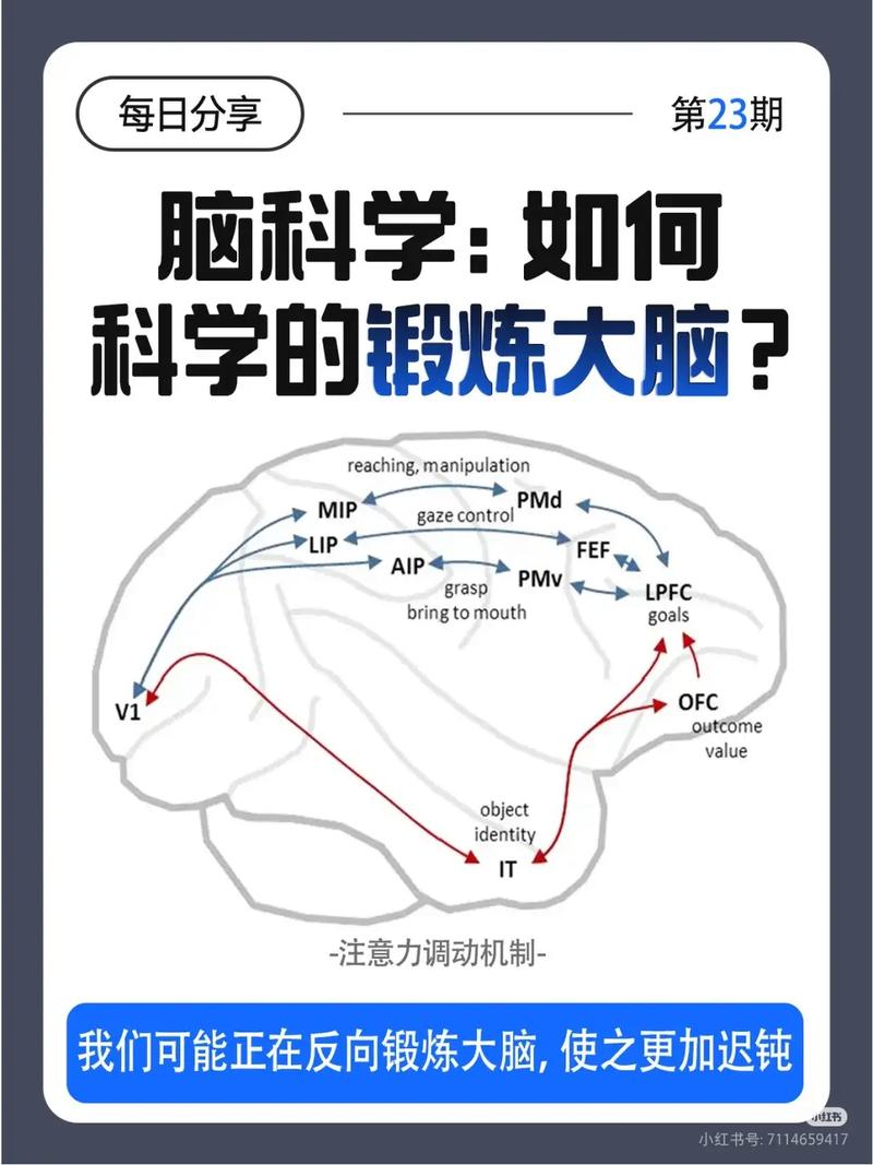 什么是语文程序性知识