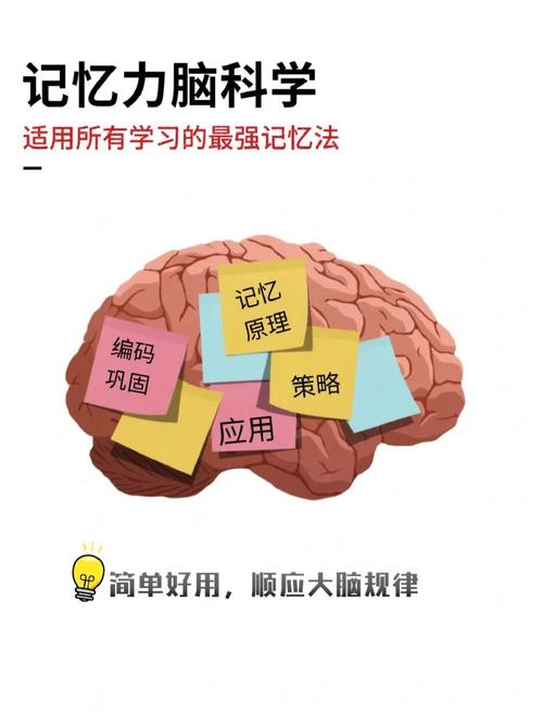 什么是语文程序性知识