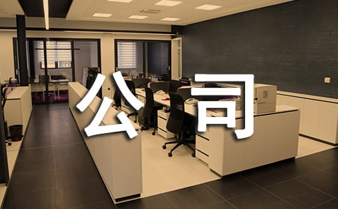 1属于公司制企业特点的有