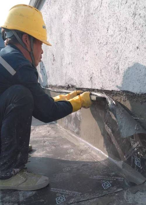 Waterproof structure of basement rolls