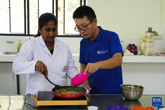 香蕉的种植技术与管理