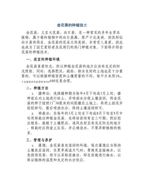 老人葵种植方法