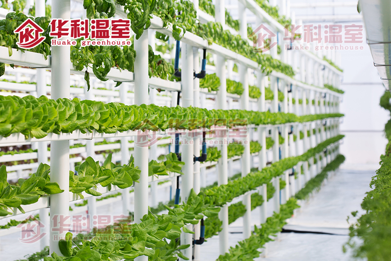 种植技术与经验