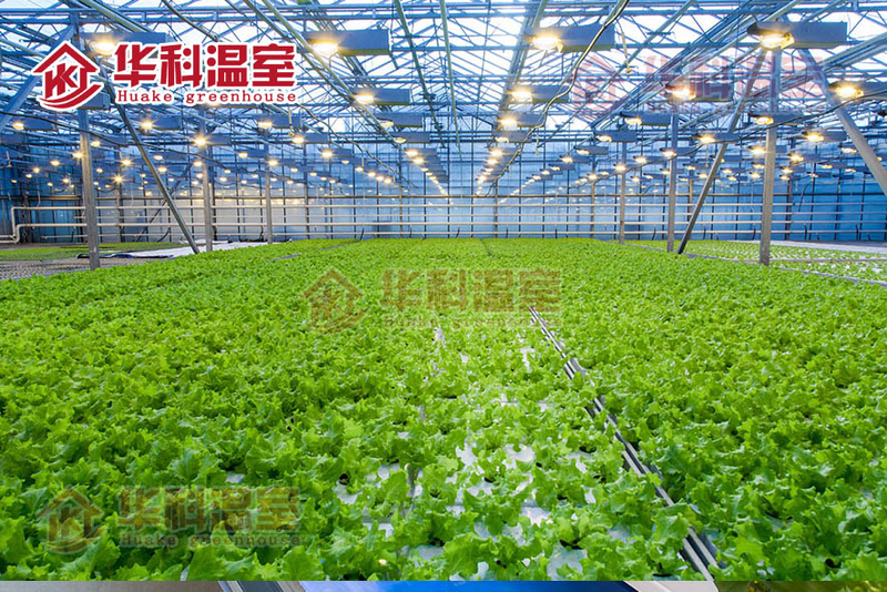 种植技术与经验