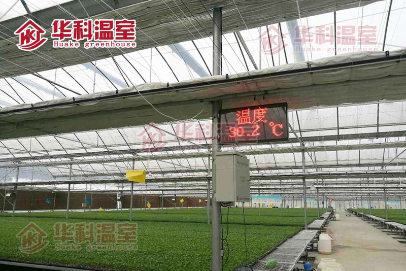 种植技术与经验