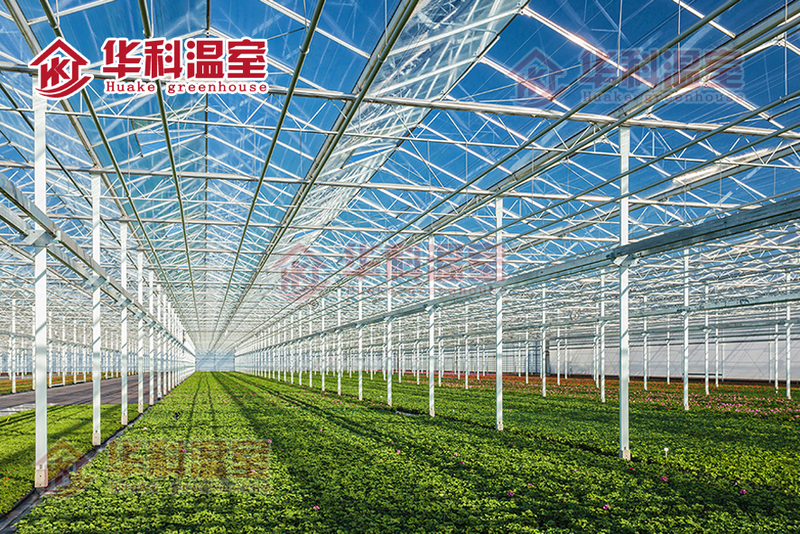 种植技术与经验