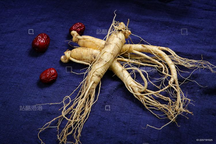 林下参种植技术