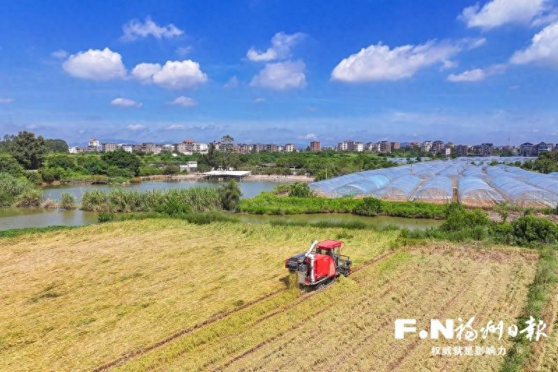 福州食用菌种植技术