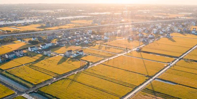 福州食用菌种植技术