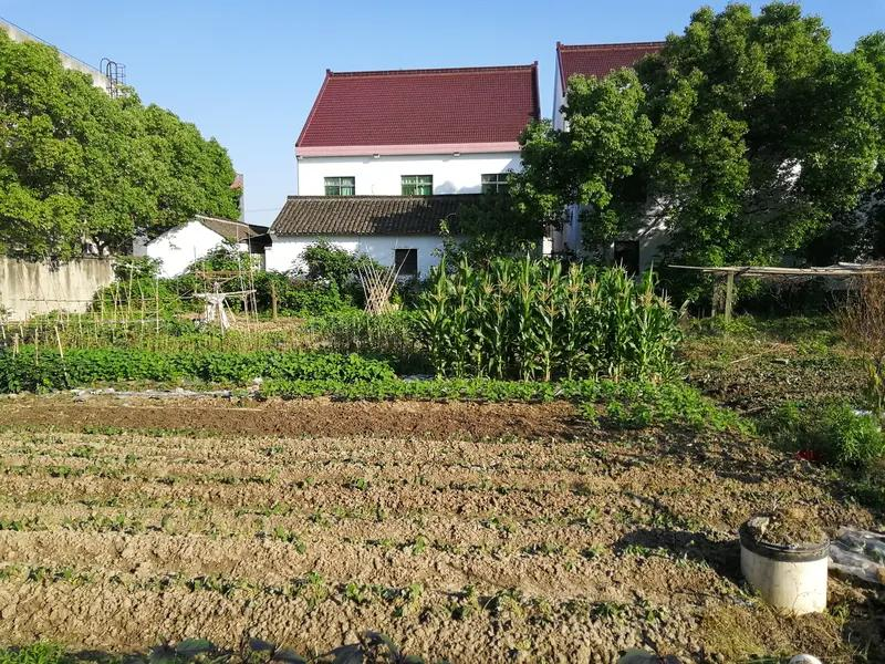 福州食用菌种植技术