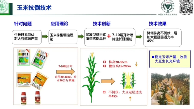 种植技术与经验