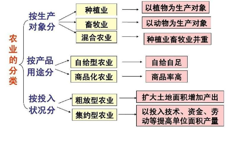 种植技术与经验
