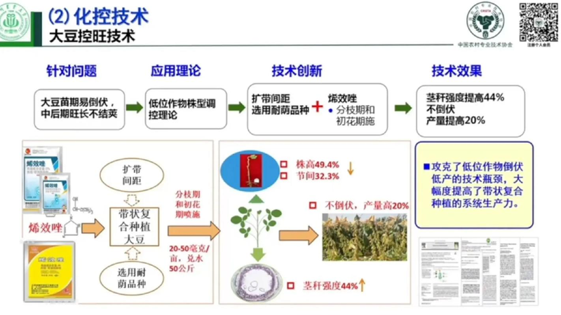 种植技术与经验