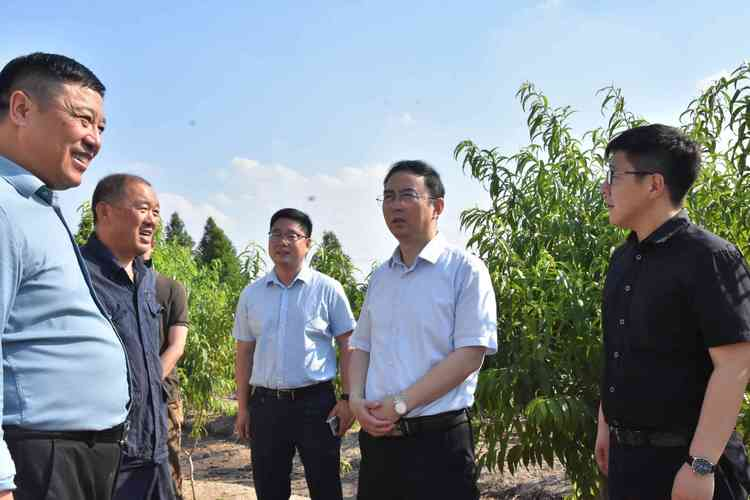 The disciplinary inspectorate has transformed its inspection function and has developed innovative inspection methods