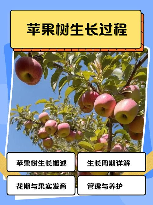 种植技术与经验