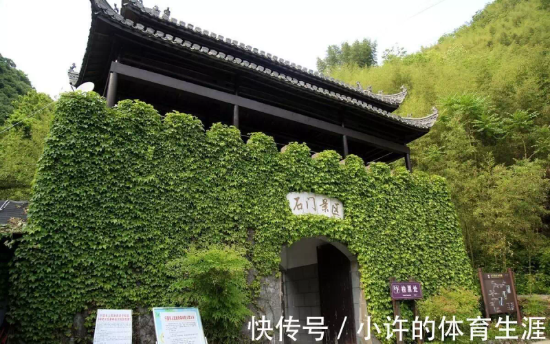 How to grow climbing plants