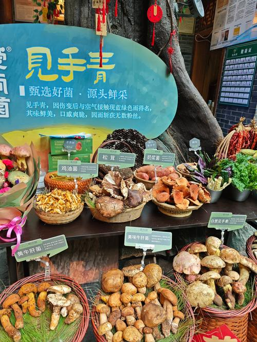 福州食用菌种植技术