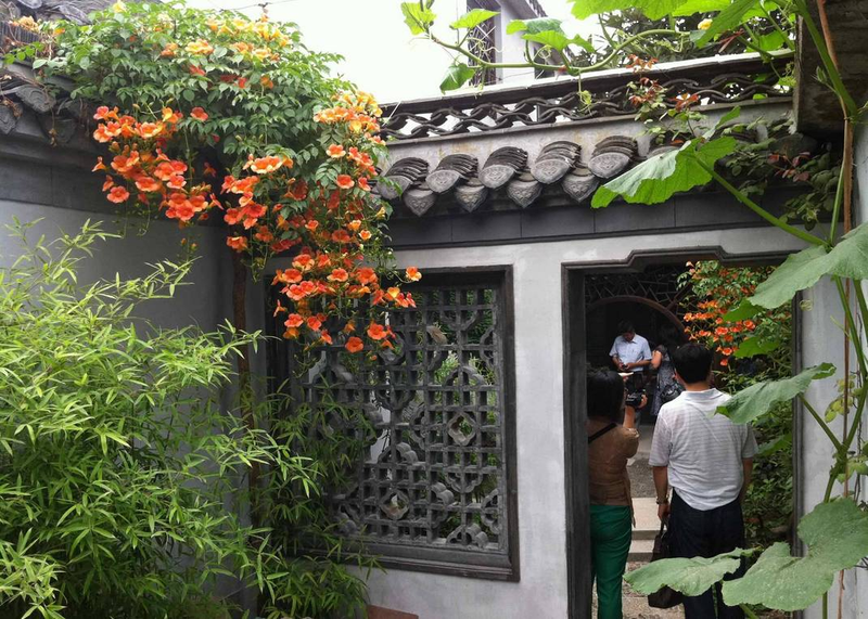 爬墙植物如何种植