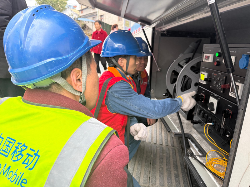 荷兰豆种植搭架方法