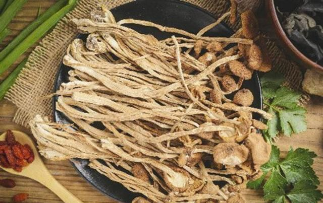 茶树菇的种植技术