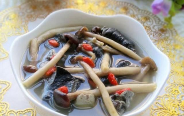 茶树菇的种植技术