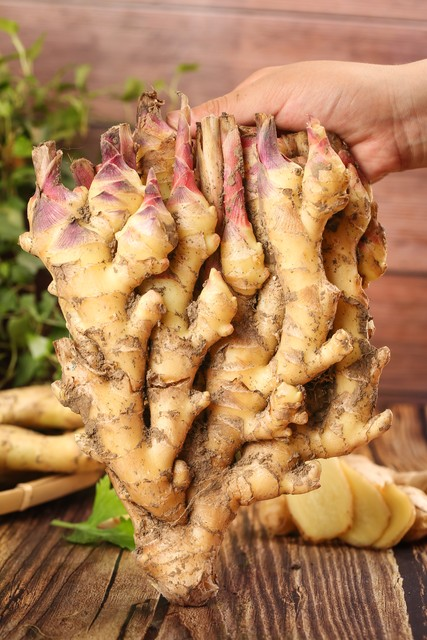 大棚姜种植技术