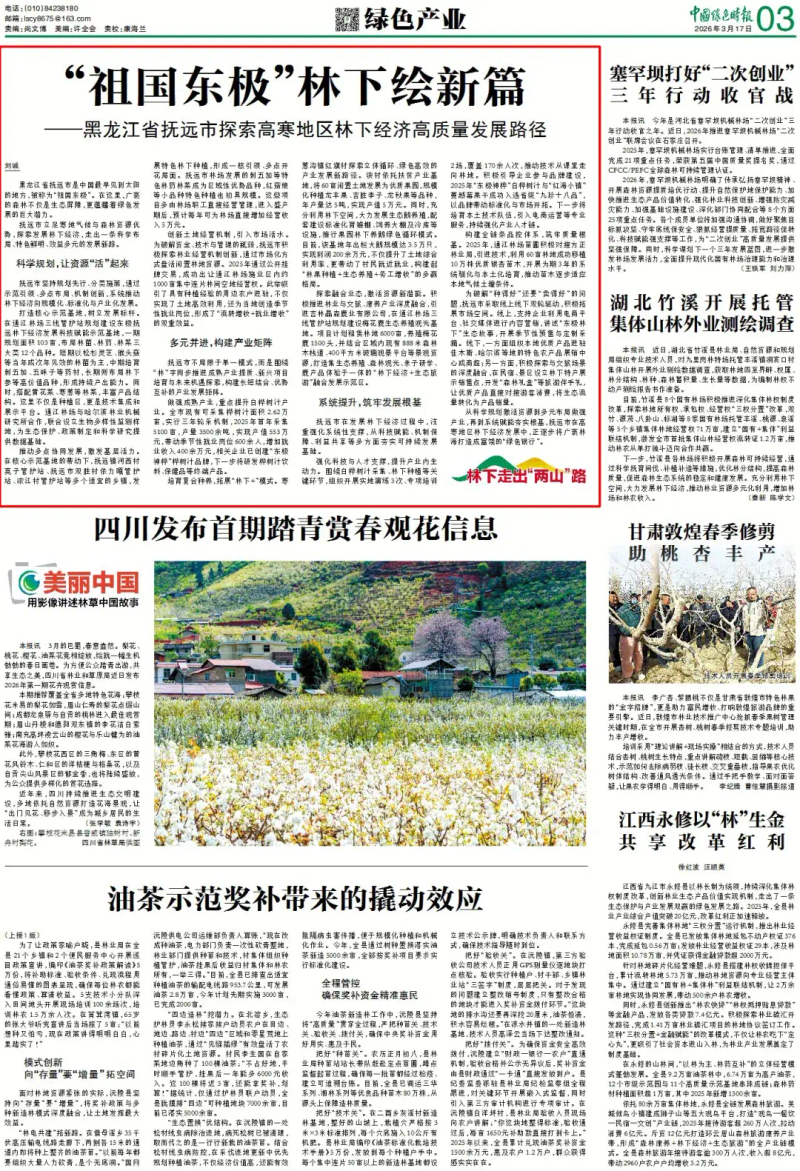 林下参种植技术