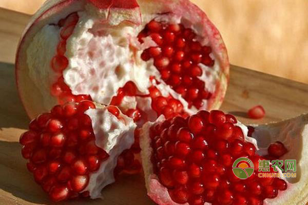 石榴树苗的种植方法