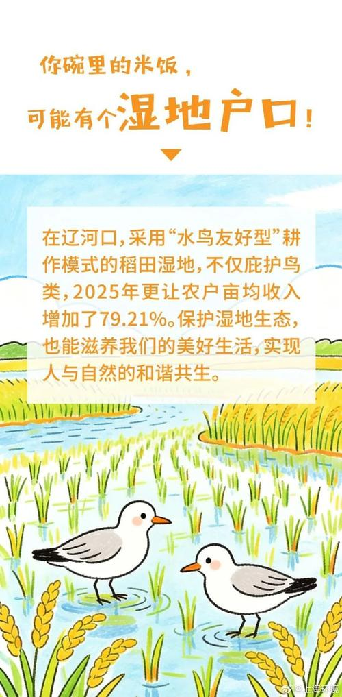 Liaoning rice plantation technology
